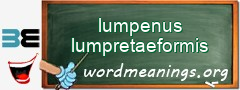 WordMeaning blackboard for lumpenus lumpretaeformis